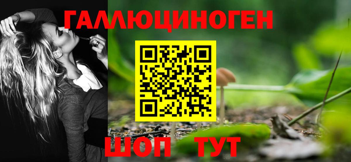 Гурьевск  где продают наркотики  Вход с VPN  Галлюциногенные грибы Magic Shrooms 